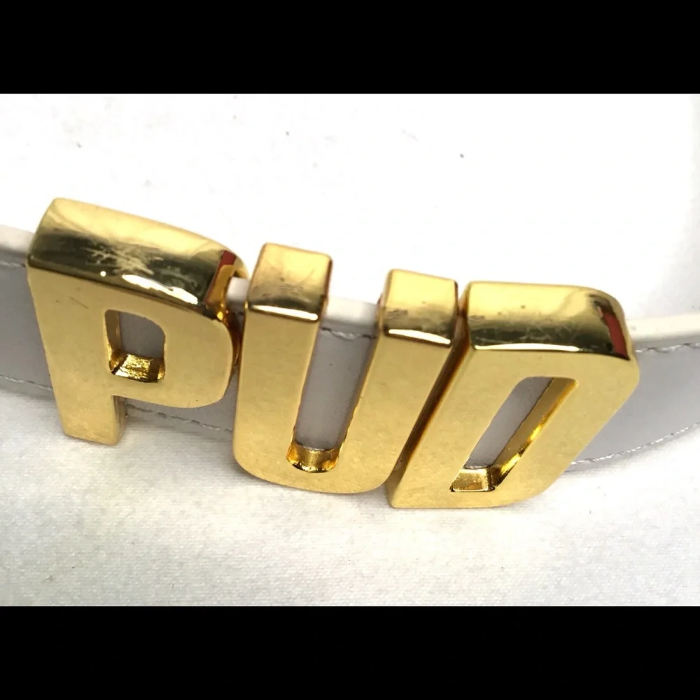 💎White Dog Collar Faux Leather With Metallic Letters Spelling PUD